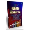 Euro Stable EA V3.3